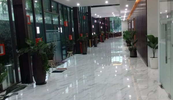 Dịch vụ cho thuê cây xanh văn phòng