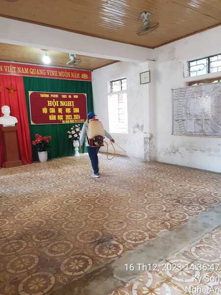 Dịch vụ diệt mối