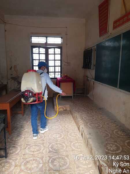 Dịch vụ diệt mối