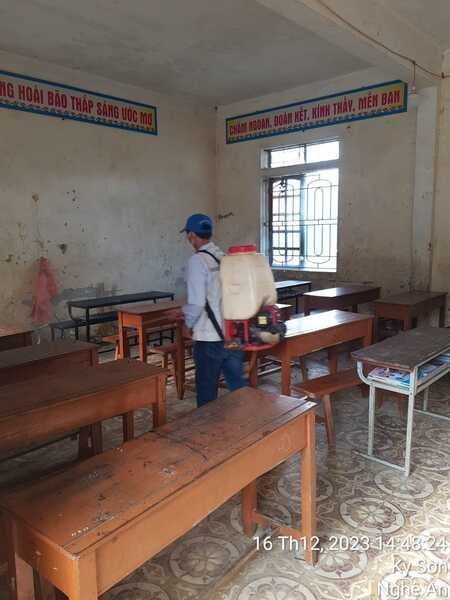 Dịch vụ diệt mối