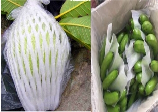 Màng Pe Foam