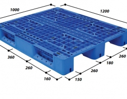 Pallet nhựa