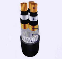 Cáp điện lực