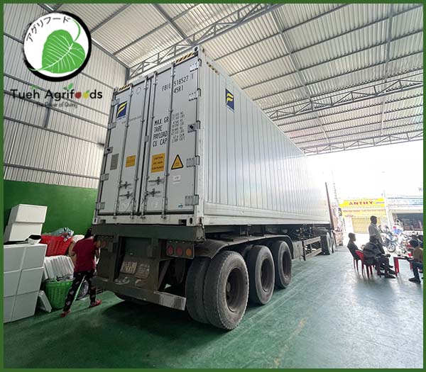 Ảnh xuất hàng