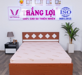 Nệm cao su thiên nhiên Thắng Lợi Sisi - Advanced