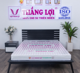 Nệm cao su Wonder Foam Thắng Lợi