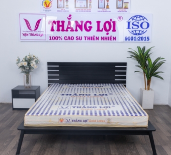 Nệm cao su Gold Latex Thắng Lợi