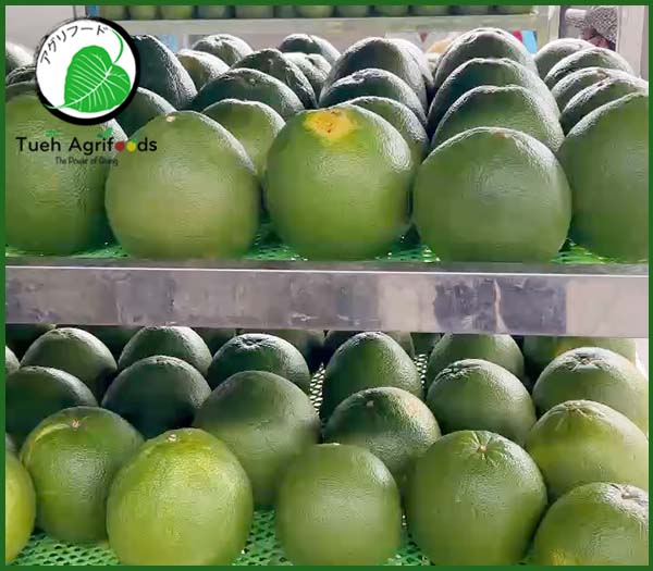Hình ảnh dây chuyền, nhà máy