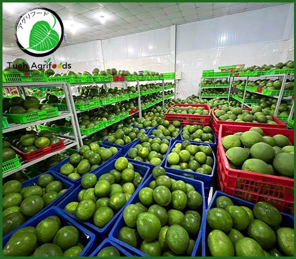 Hình ảnh dây chuyền, nhà máy