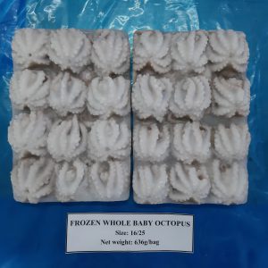 Bạch tuộc lạnh làm sạch nguyên con