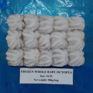 Bạch tuộc lạnh làm sạch nguyên con
