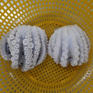 Mực đông lạnh cắt khúc