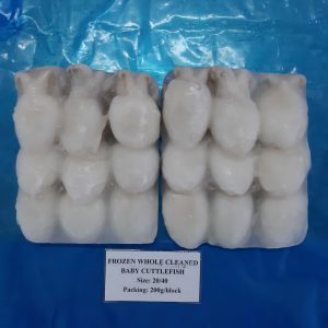 Mực nang lạnh làm sạch nguyên con