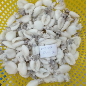 Mực nang lạnh làm sạch nguyên con