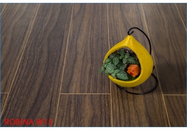Sàn gỗ Robina