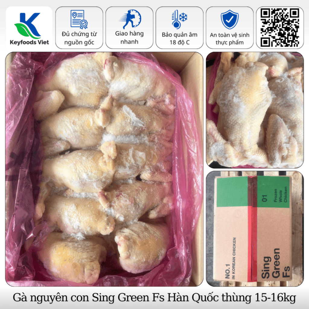 Gà nguyên con Sing Green Fs