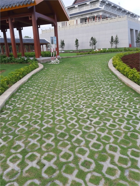 Gạch số 8 trồng cỏ