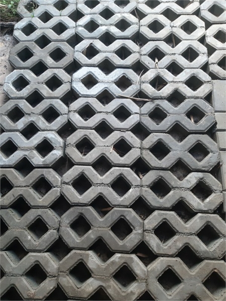 Gạch số 8 trồng cỏ