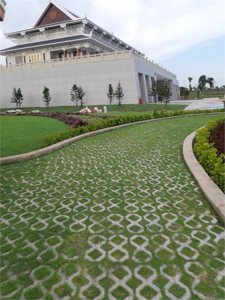 Gạch số 8 trồng cỏ