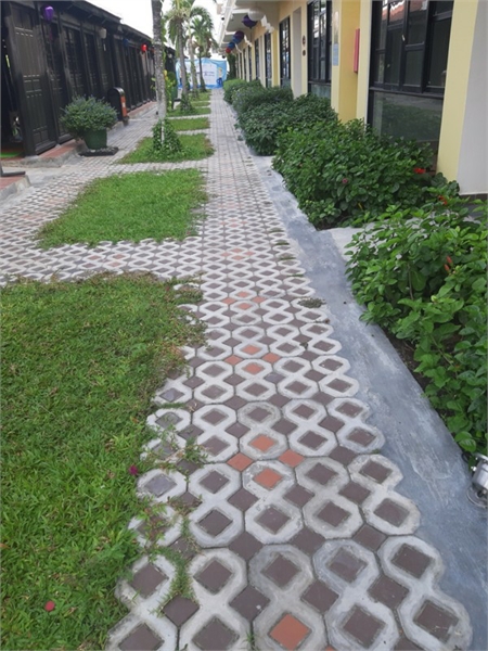 Gạch số 8 trồng cỏ