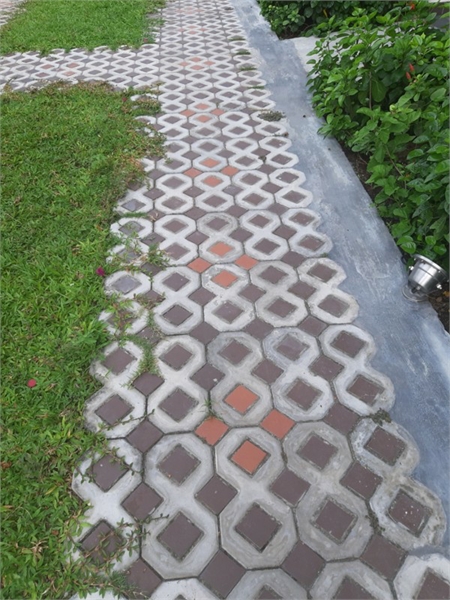 Gạch số 8 trồng cỏ