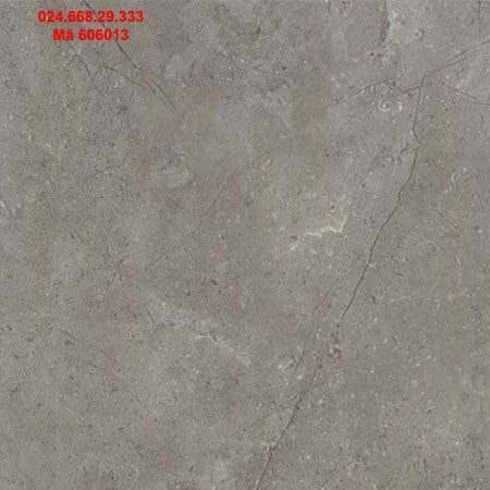 Gạch vân đá 60x60 Cantop 606013