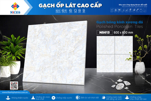 Gạch Nices NS613