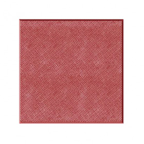 Gạch vuông 20 x 20 x 6 nhám lưới