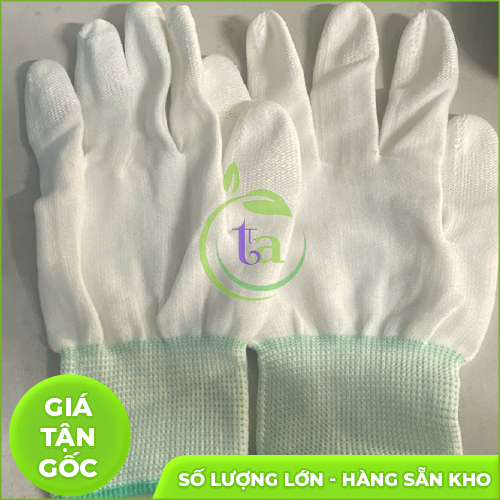 Găng tay phòng sạch
