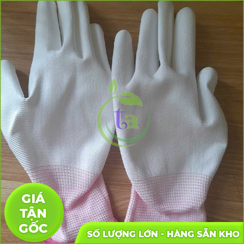 Găng tay phòng sạch