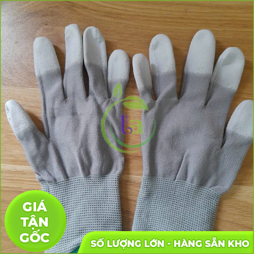 Găng tay phòng sạch