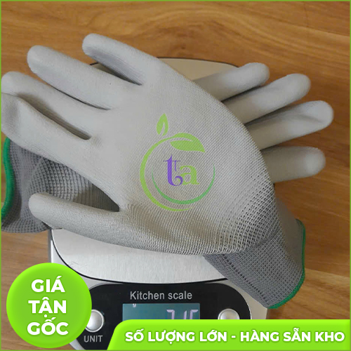Găng tay phòng sạch
