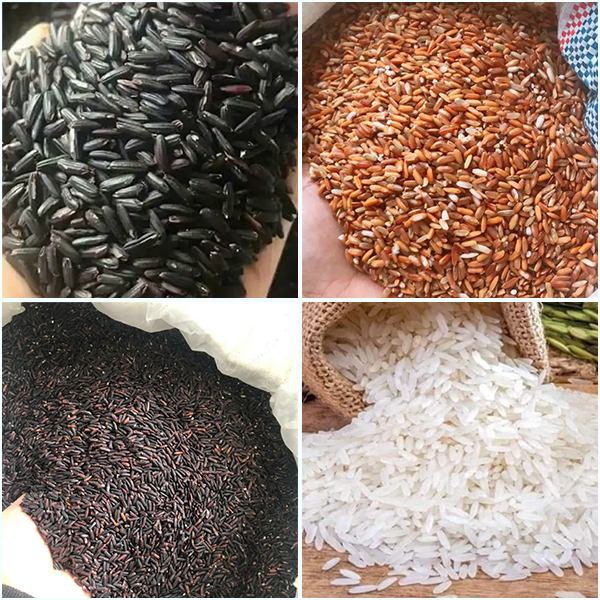 Gạo