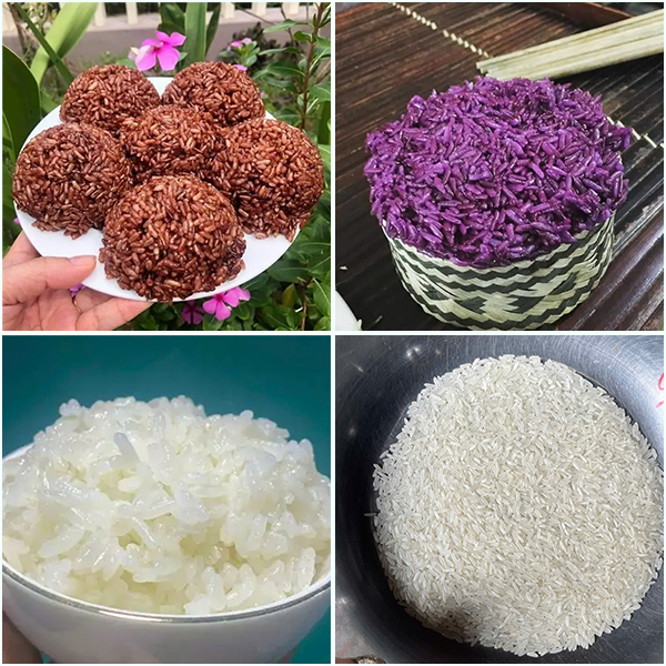 Gạo