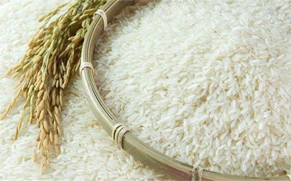 Bao đựng nông sản thực phẩm