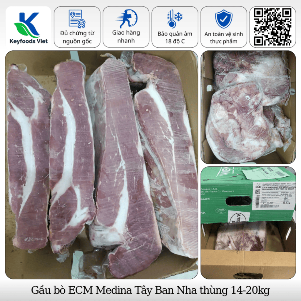 Gầu bò ECM Medina
