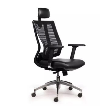 Ghế Ergonomic Premier GVP149