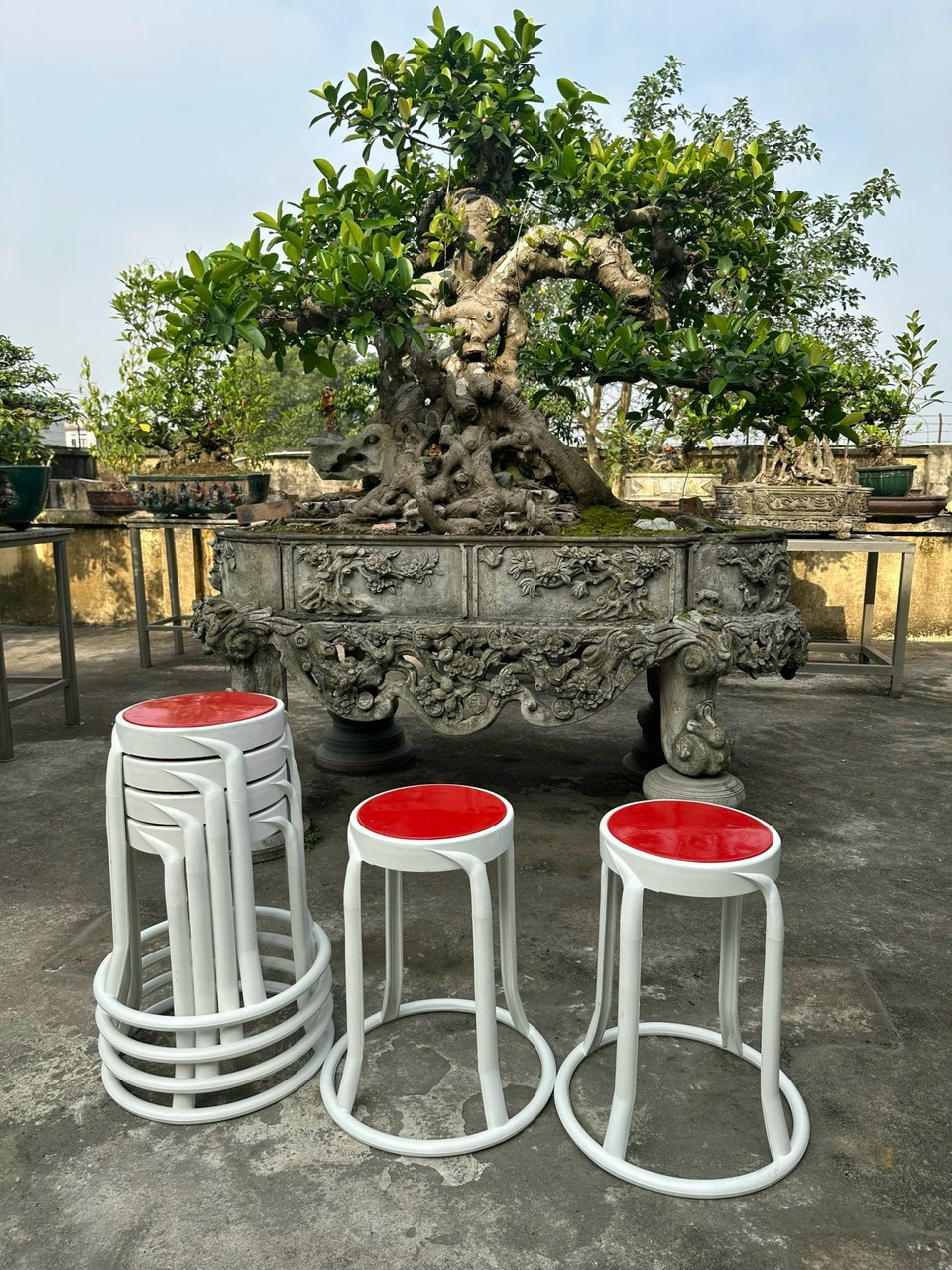 Đôn nhựa mặt đỏ