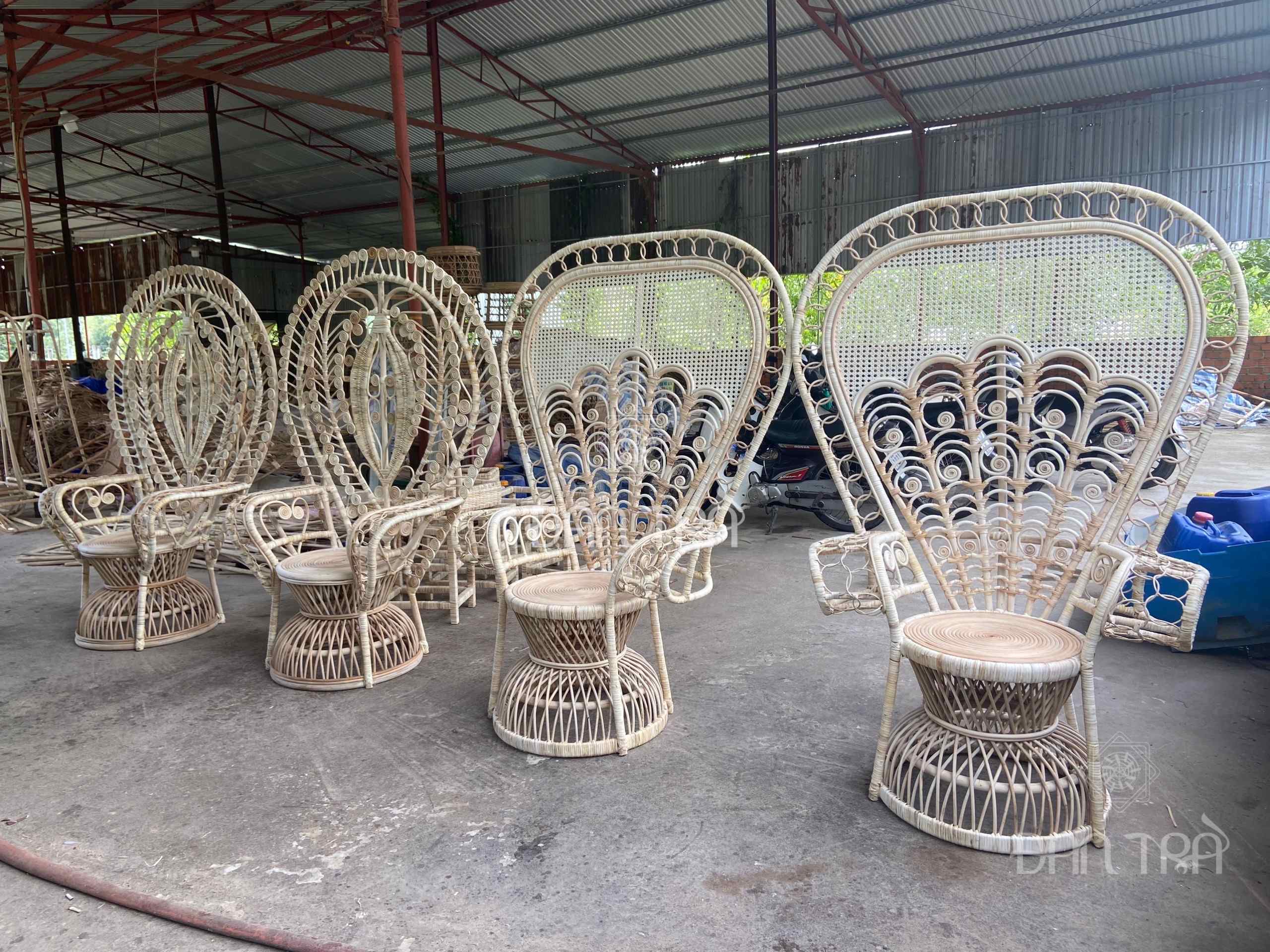 Ghế mây con công