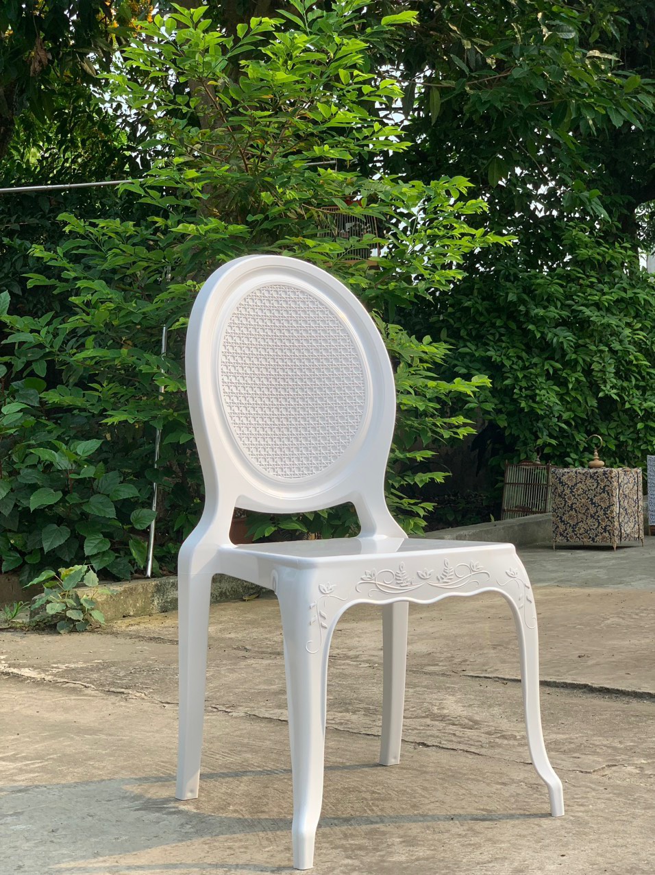 Ghế Queen Chair