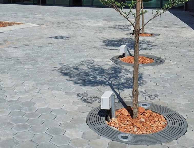 Ghi bảo vệ gốc cây tròn