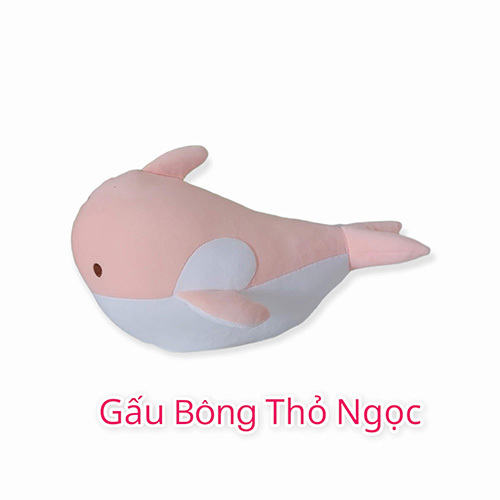 产品与服务