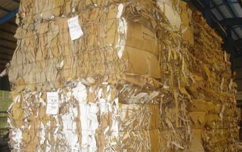 Pallet giấy tổ ong
