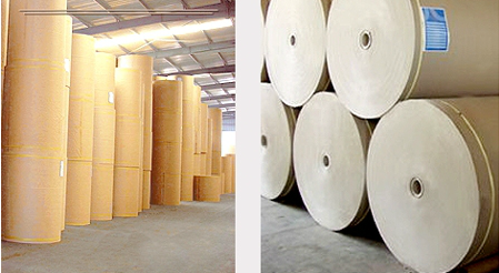 Pallet giấy