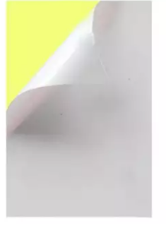 Giấy Decal