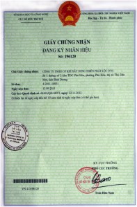 Chứng chỉ, chứng nhận