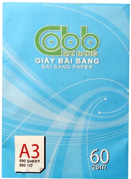 Giấy in A3 8460
