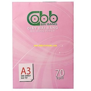 Giấy bãi bằng A3 ĐL70