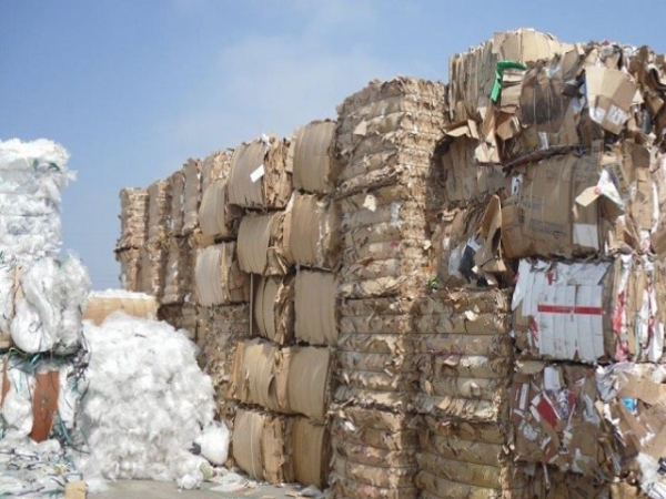 Giấy carton