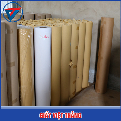 Giấy cắt rập duplex